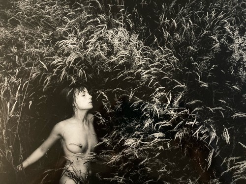 Grande photo argentique daniel - grande,